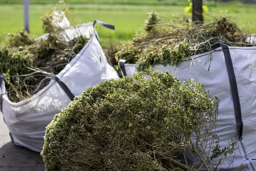 How To Clear A Yard Full Of Weeds in Hartford, CT How To Clear A Yard Full Of Weeds in Hartford, CT
