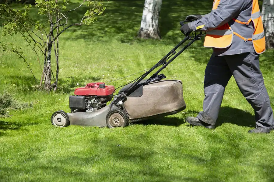 Effective Lawn Care in Hartford, CT Efficient Lawn Care in Hartford, CT