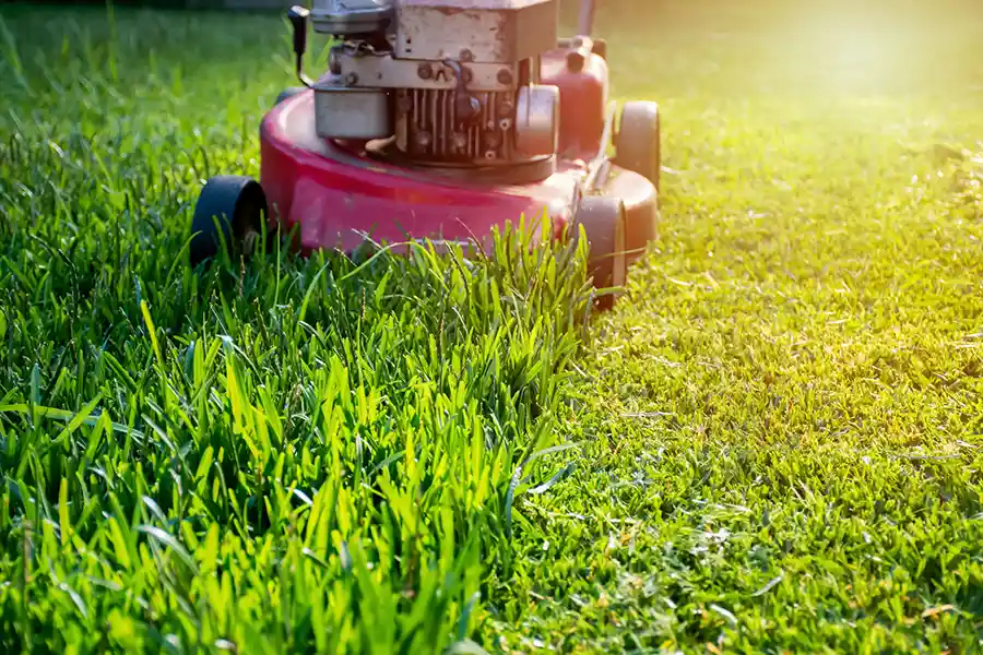 Lawn Care Tips Hartford, CT Lawn Care Tips Hartford, CT