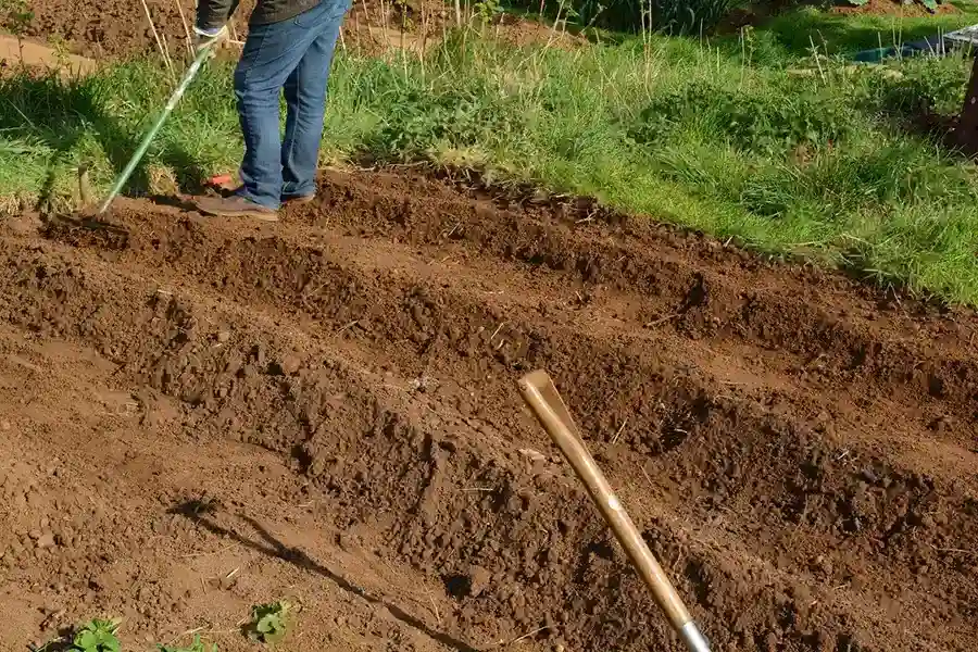 Budget Mulching Service in Hartford, CT Best Mulching Service in Hartford, CT