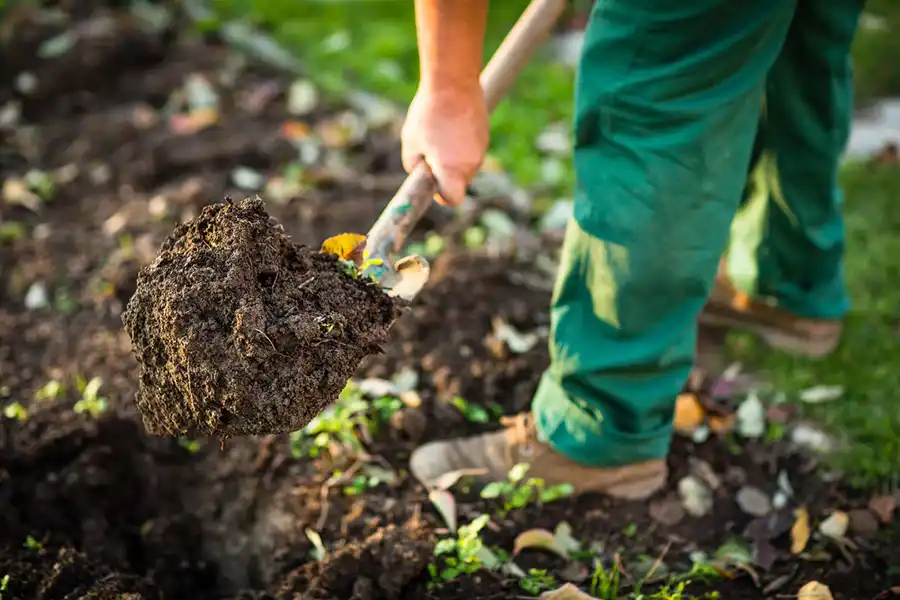 Professional Mulching Service in Hartford, CT Reliable Mulching Service in Hartford, CT