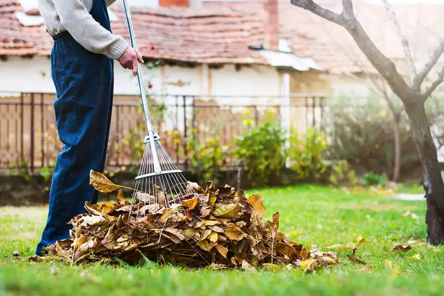 What Does A Yard Clean Up Consist Of in Hartford, CT What Does A Yard Clean Up Consist Of in Hartford, CT