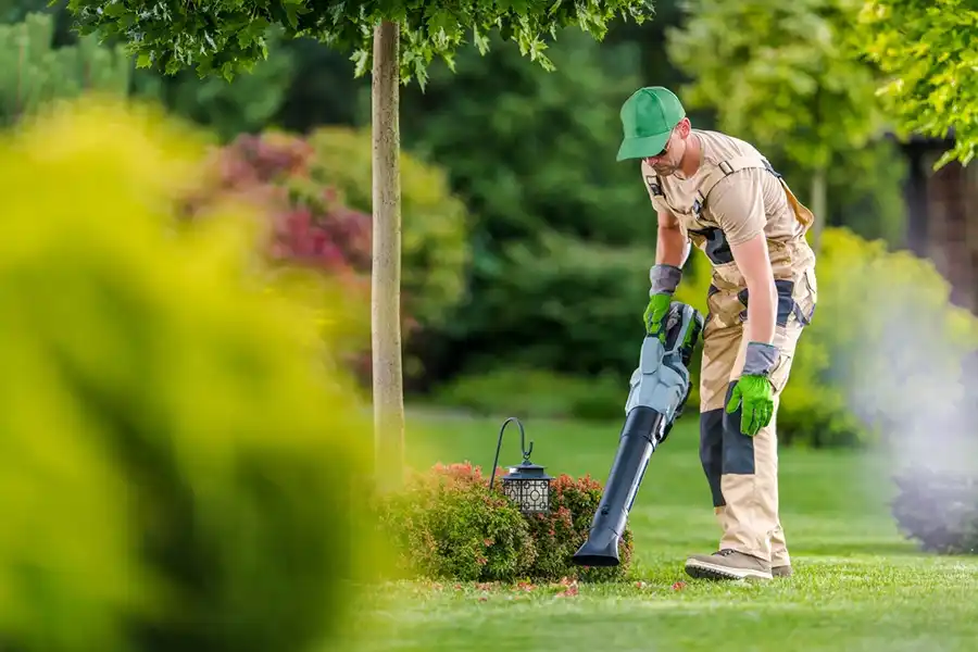 What Does A Yard Clean Up Consist Of Hartford, CT What Does A Yard Clean Up Consist Of Hartford, CT