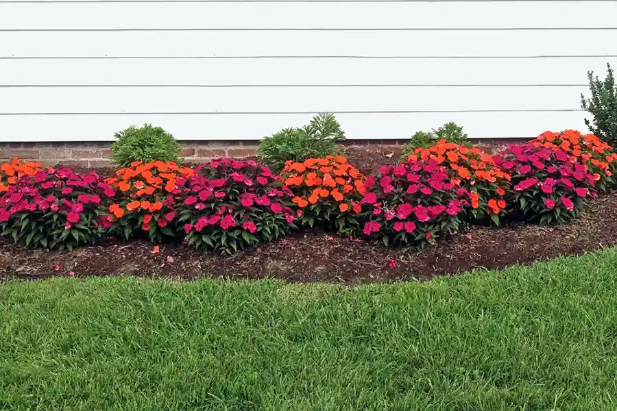 What Does Mulch Do in Hartford, CT What Does Mulch Do in Hartford, CT