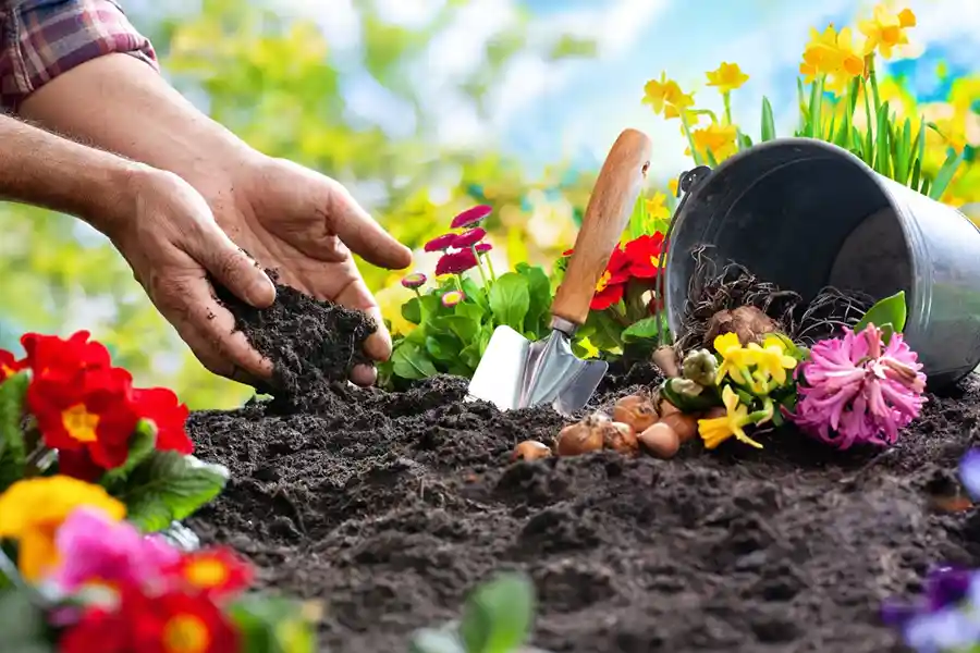 What Does Mulch Do Hartford, CT What Does Mulch Do Hartford, CT