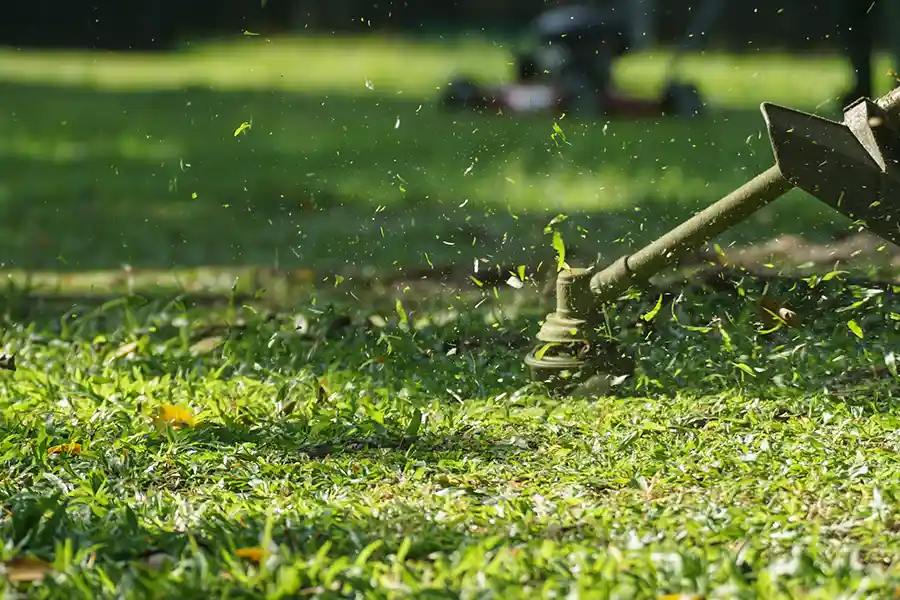 What Is Lawn Care Hartford, CT What Is Lawn Care Hartford, CT