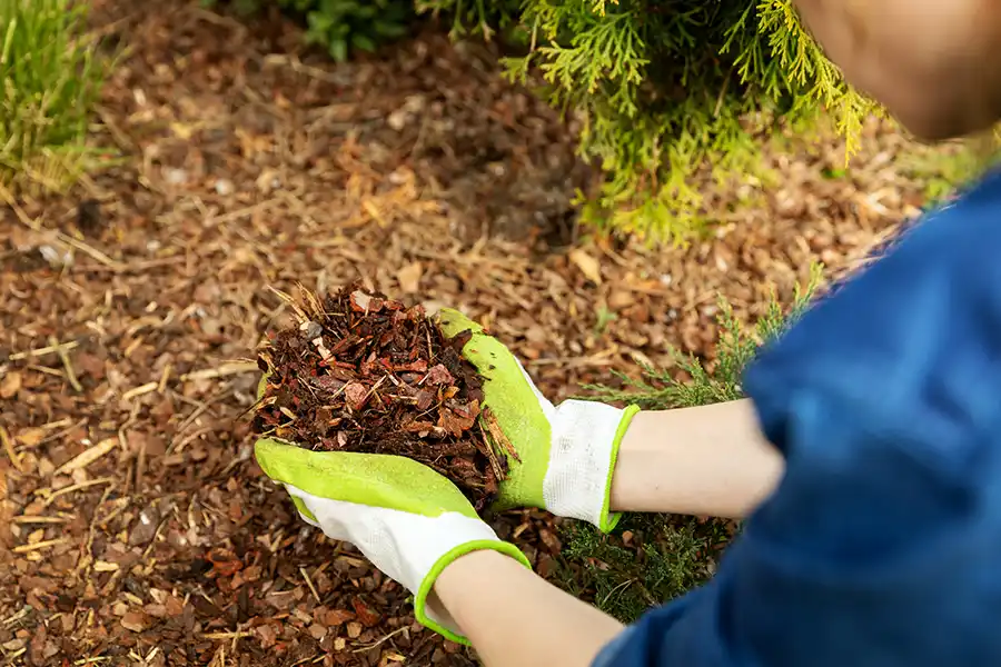 What Is Mulching in Hartford, CT What Is Mulching in Hartford, CT