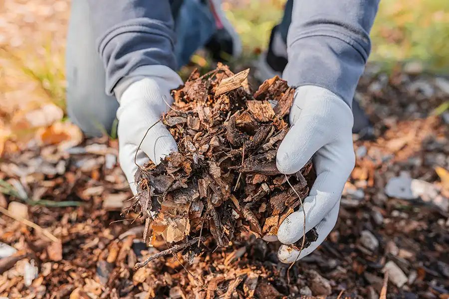 What Is Mulching Hartford, CT What Is Mulching Hartford, CT