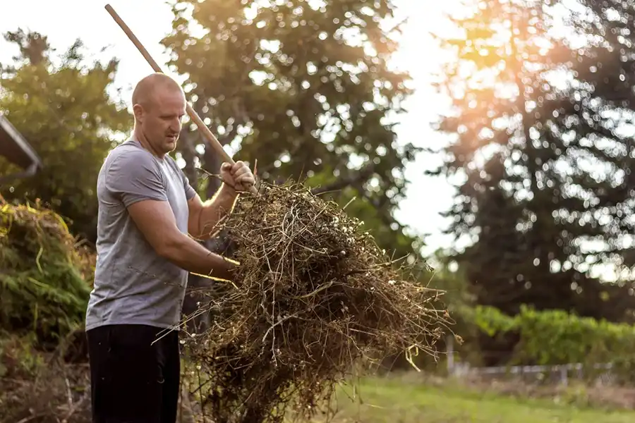 Effective Yard Clean-Up Services in Hartford, CT Efficient Yard Clean-Up Services in Hartford, CT