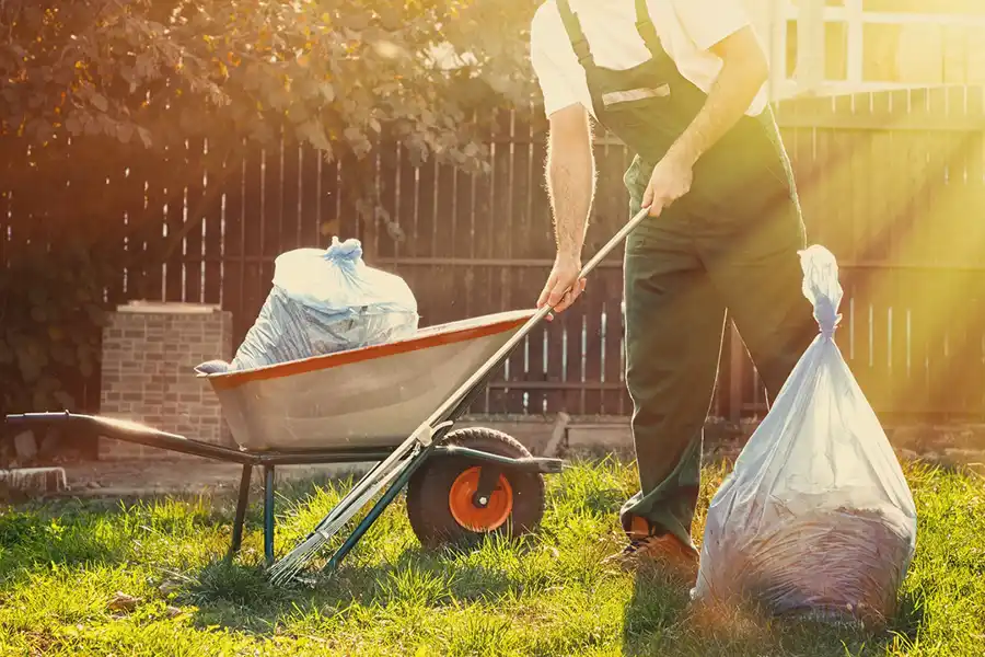 Budget Yard Clean-Up Services in Hartford, CT Best Yard Clean-Up Services in Hartford, CT