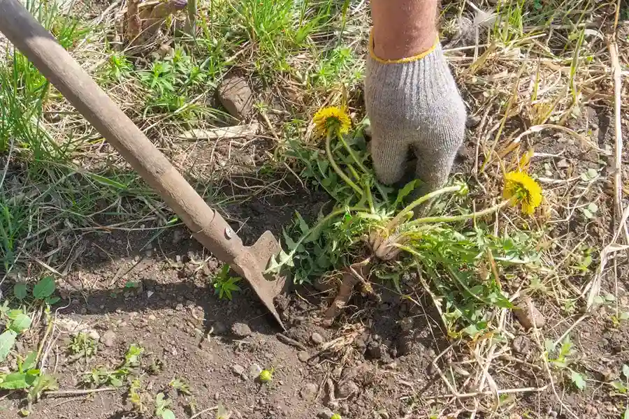 Professional Yard Clean-Up Services in Hartford, CT Reliable Yard Clean-Up Services in Hartford, CT